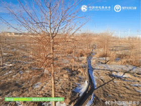 社会责任报告:公益数量增11.1%,游戏企业公益履责朝3个方向优化