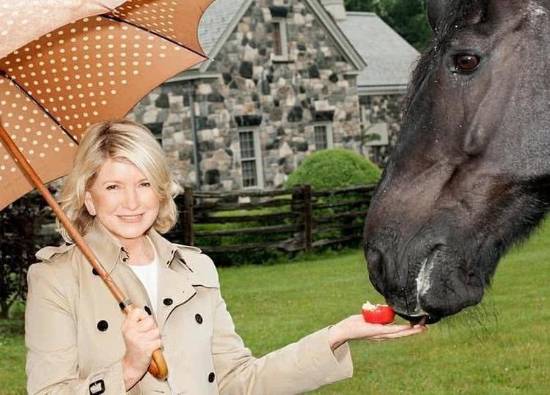 年龄不是问题！84岁单身女星玛莎·斯图尔特自曝：我仍是“优质伴侣”