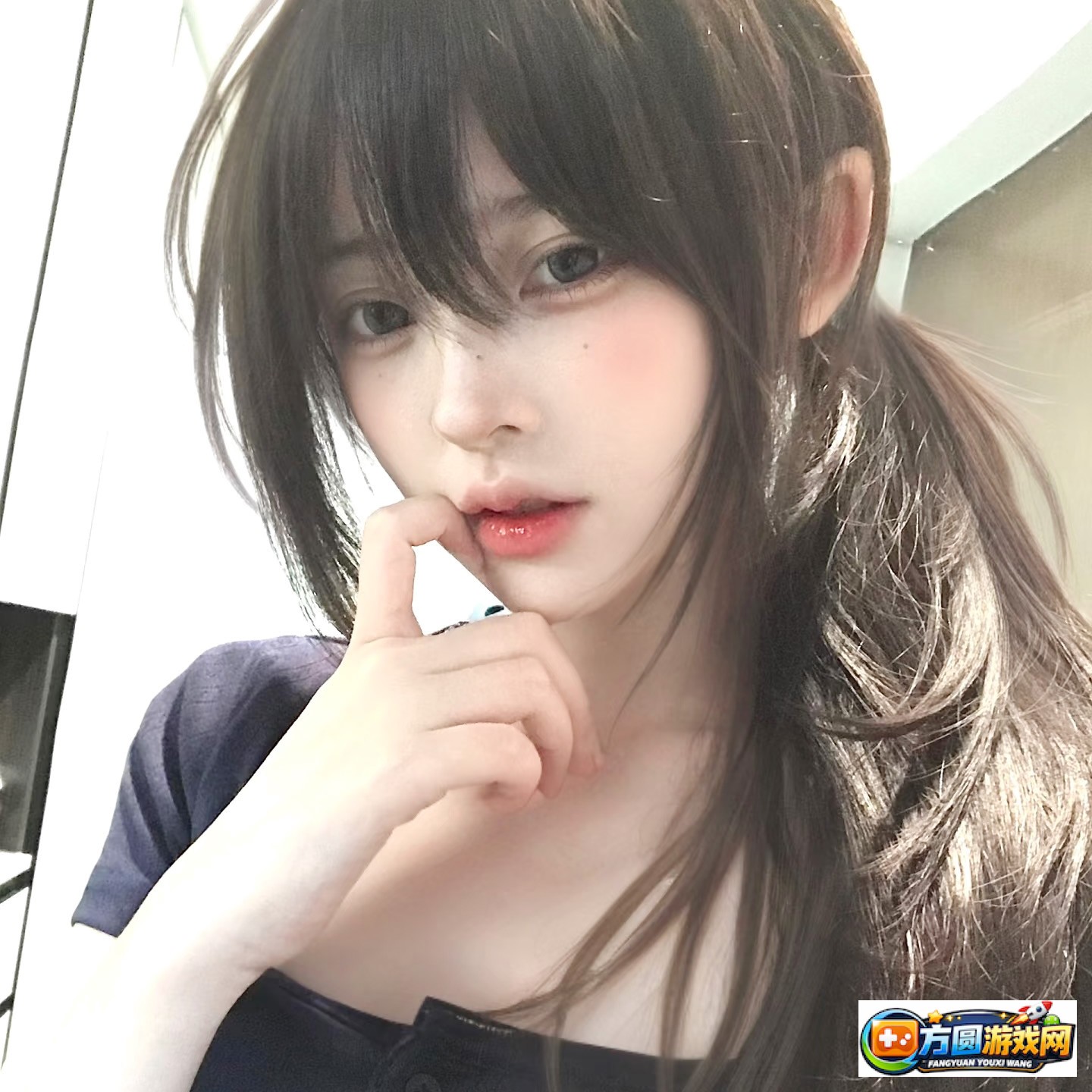 深入了解txvlogcom网业板的功能与使用技巧