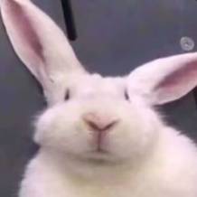 到底什么游戏，终结了B站和小红书的“战争”