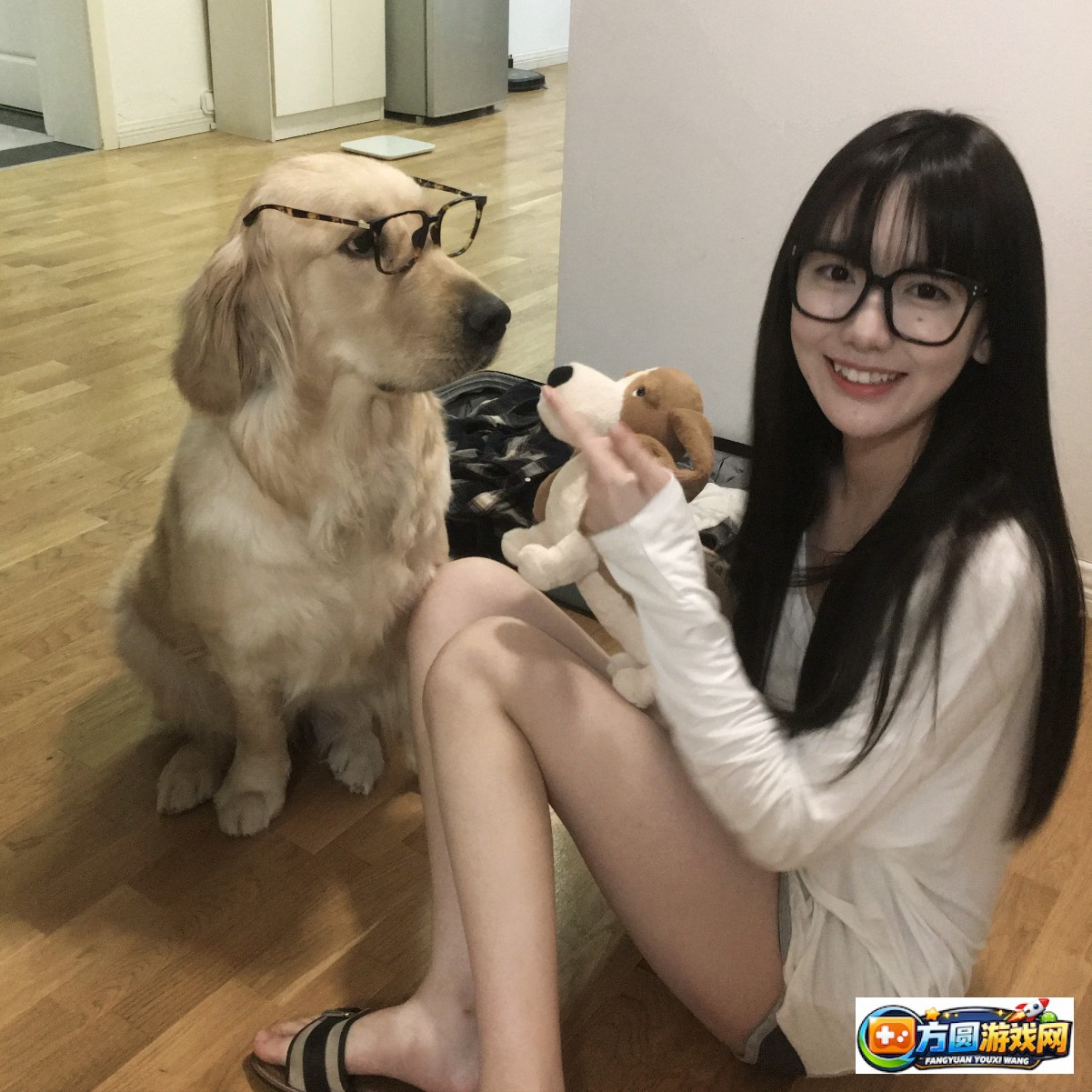 18K金8.35MB官网版的特色功能全面解析