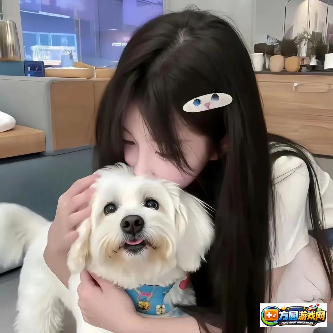 教你用Nike1688源码快速制作成品视频，剪辑小白也能轻松上手