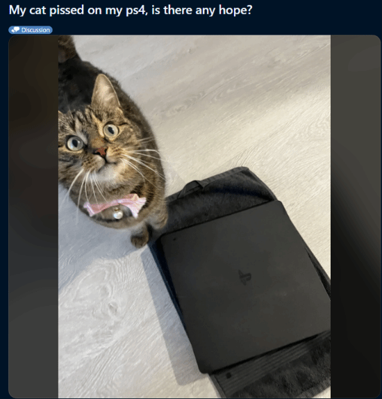 猫咪在PS4上尿了！网友崩溃求助：还有救吗？