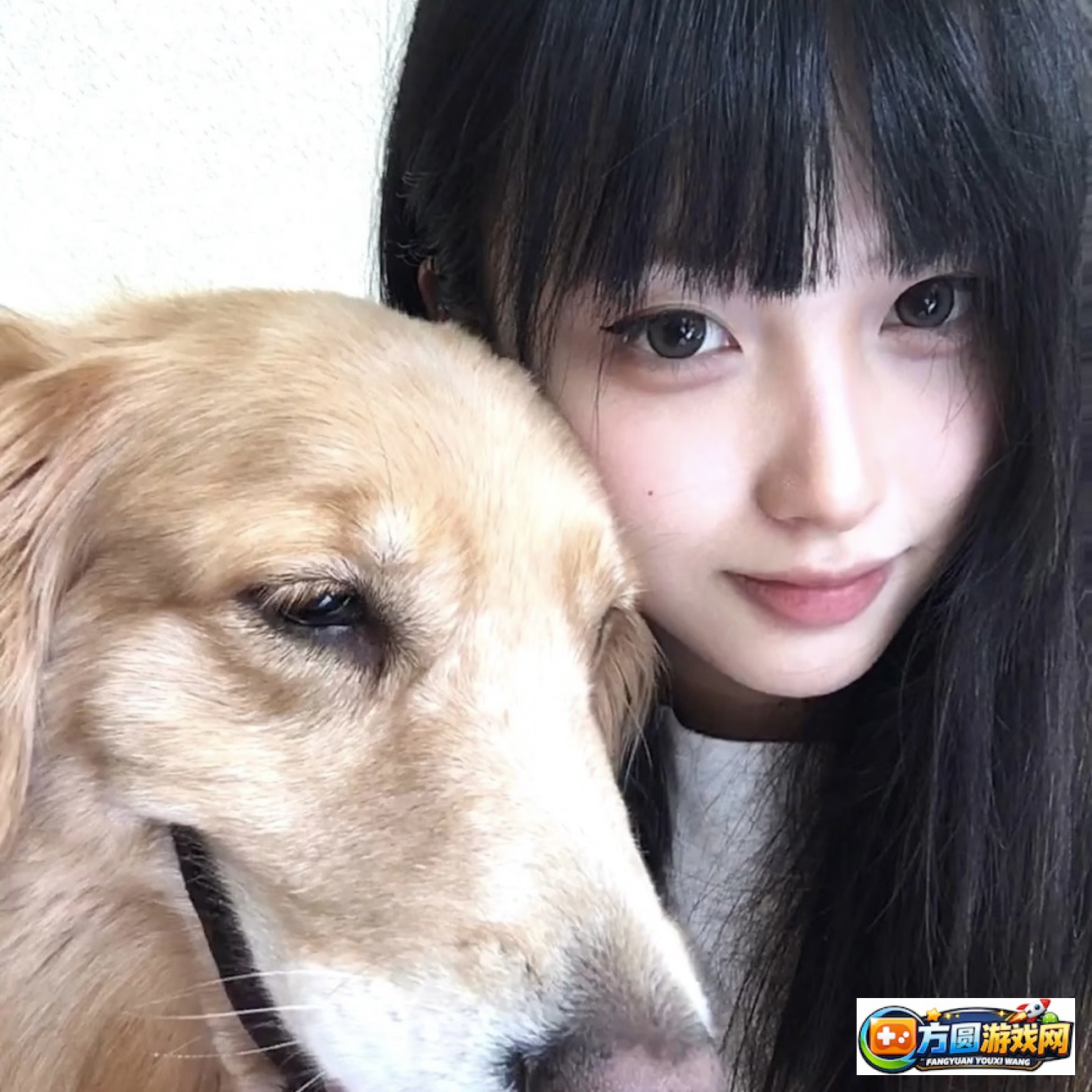 Vlog是什么？了解视频日志的基本概念与常见玩法