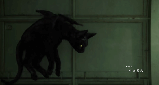 小岛秀夫亲自剪辑的《死亡搁浅2：冥滩之上》PC版最终预告发布！Steam预载已开始