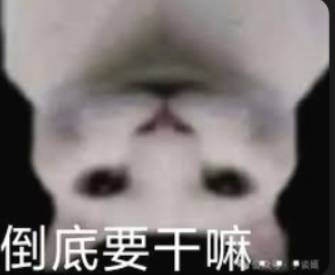 DLSS 5会把电子游戏变成AI垃圾吗？