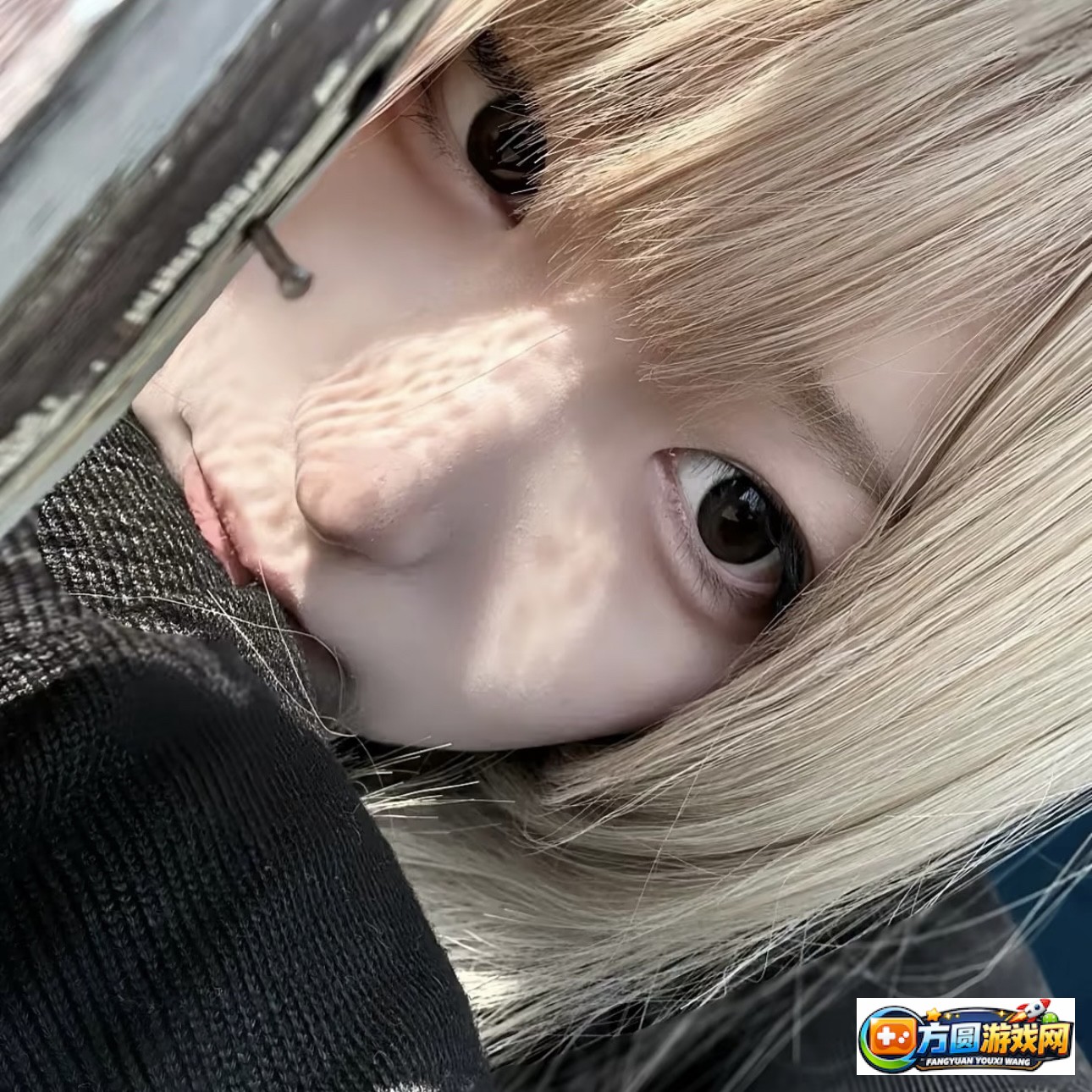 精品影视首页专题频正版道