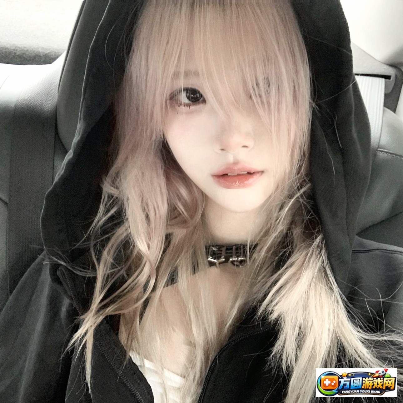 热门片库日经典本电影免费推荐