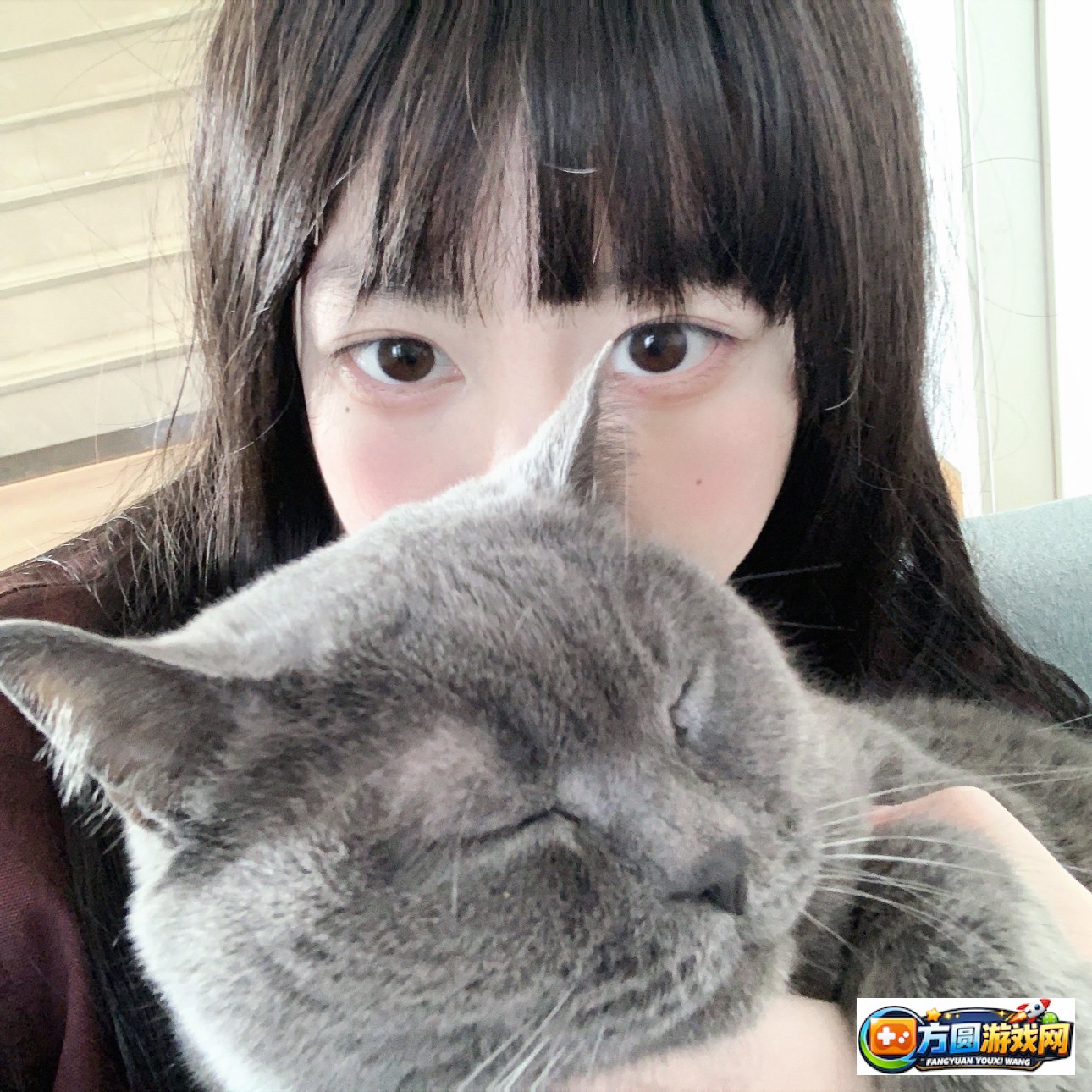 精选影片高分首页看片指南