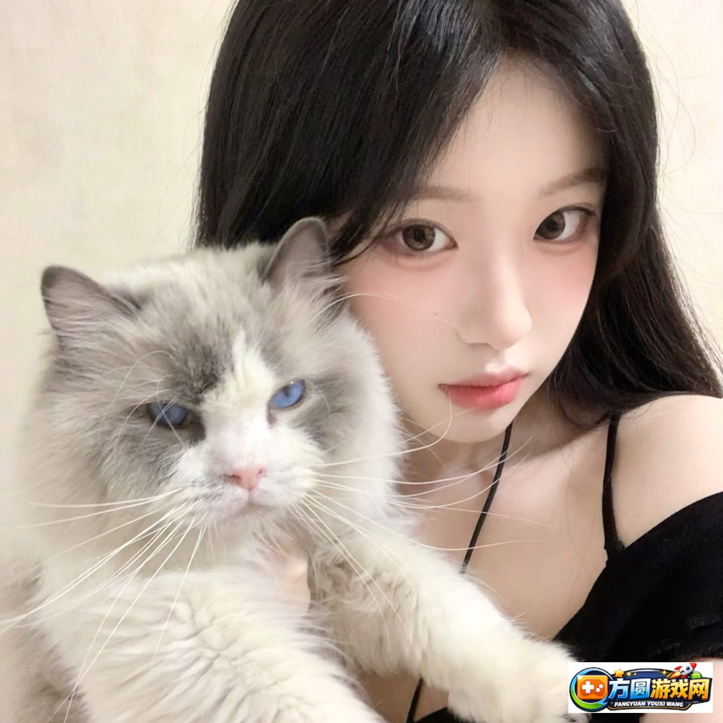 在线观影热门电影高专题清在线观看