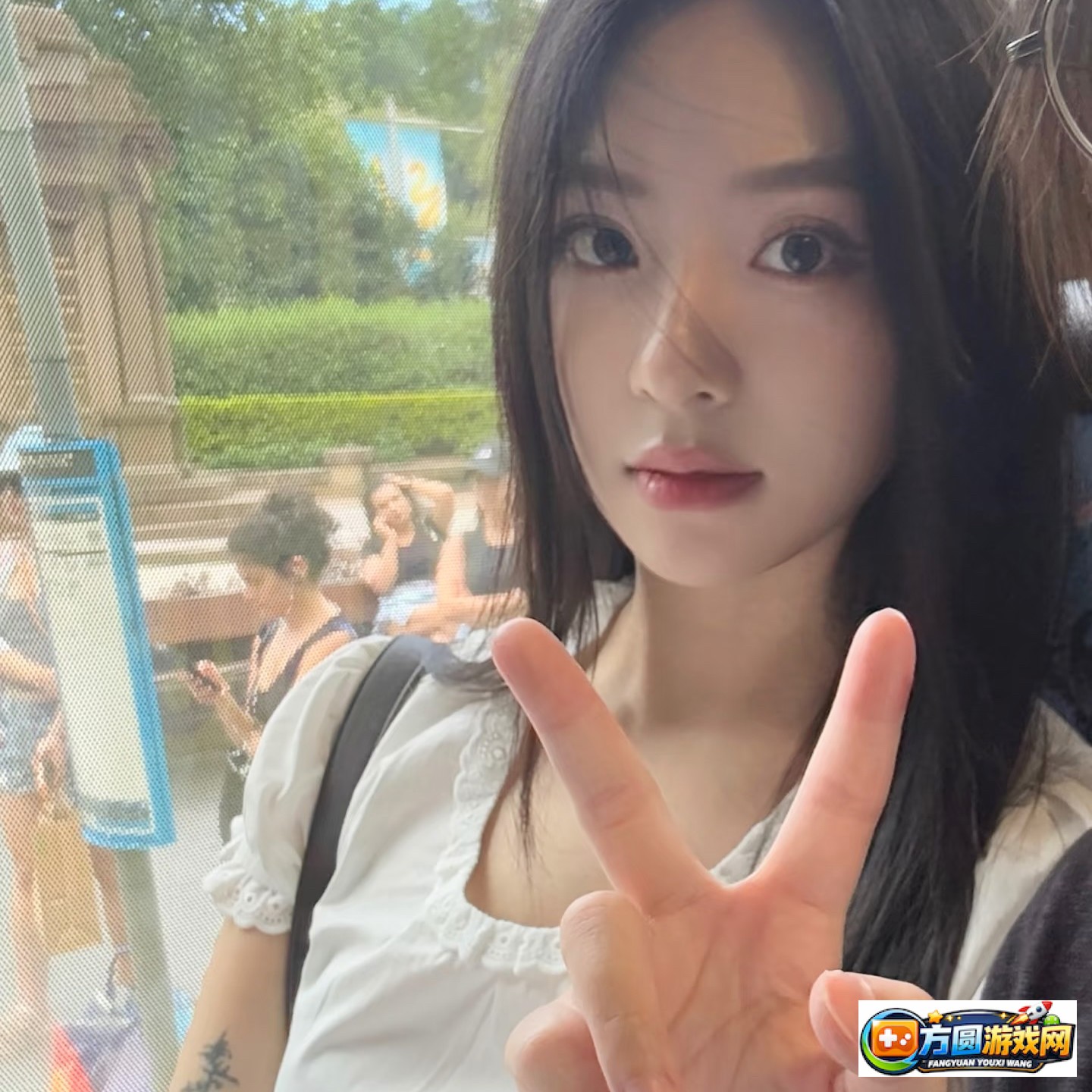 海量视频电影视频影视网站合集