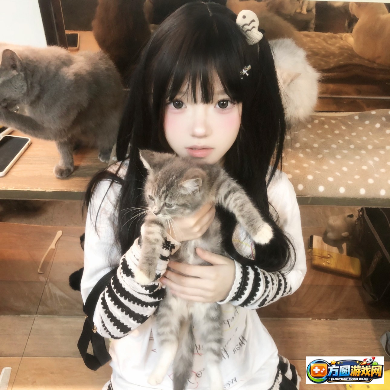 精品影视首页影视导高清航