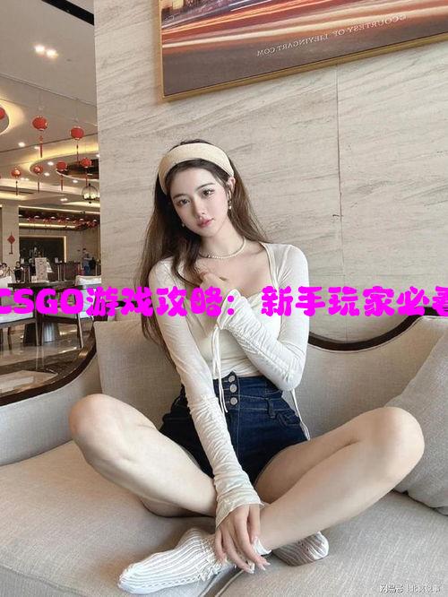 小花妹妹CSGO游戏攻略：新手玩家必看上分技巧