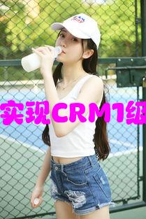 如何通过免费策略实现CRM1级：应用与发展策略