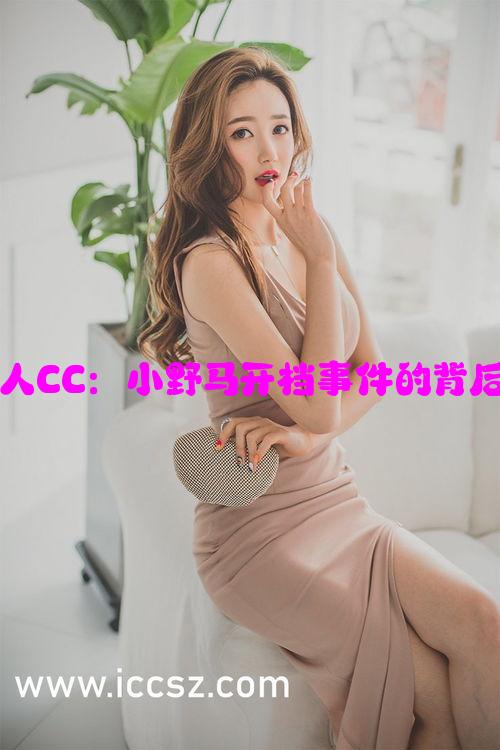 揭秘网络红人CC：小野马开档事件的背后真相与影响