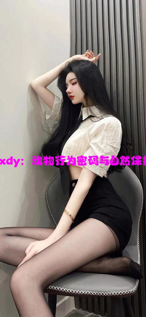 大象dxdy：动物行为密码与自然保护挑战