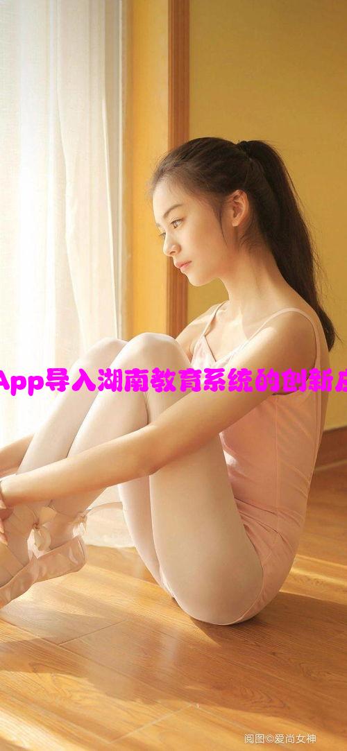 可乐福建导航App导入湖南教育系统的创新应用与影响分析